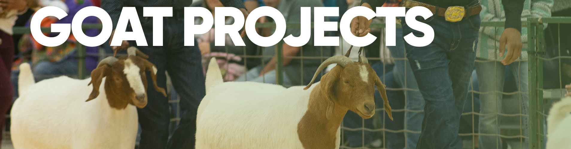 Goat Projects banner.